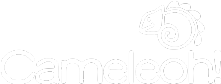 Logo Cameleoh